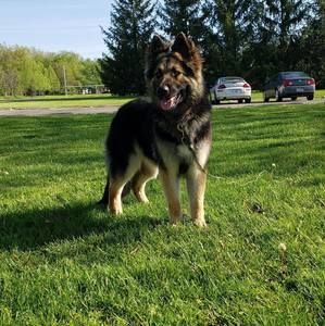 Meet your Posher, Jason